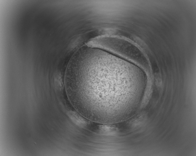 X0000074970380200609081418