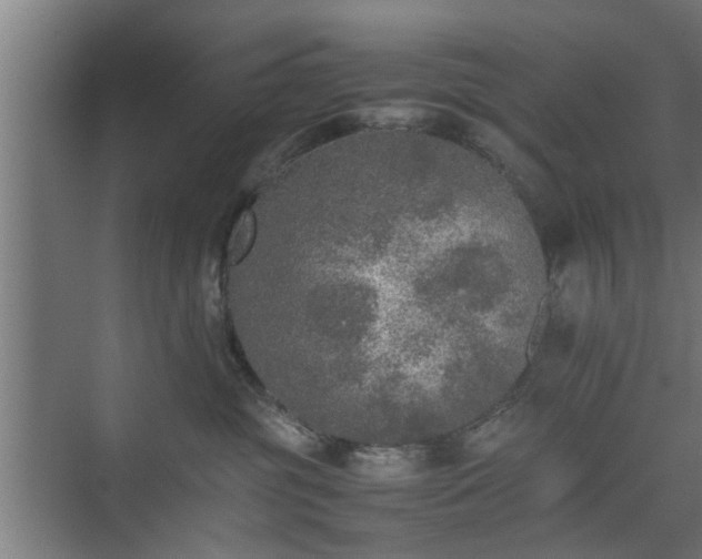 X0000074970381200609081418