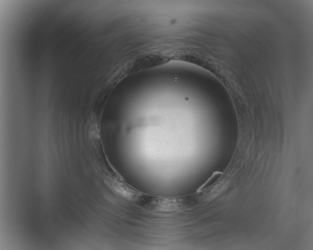 X0000074970384200609081418