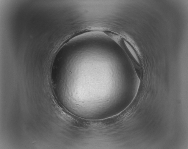 X0000074970385200609081417