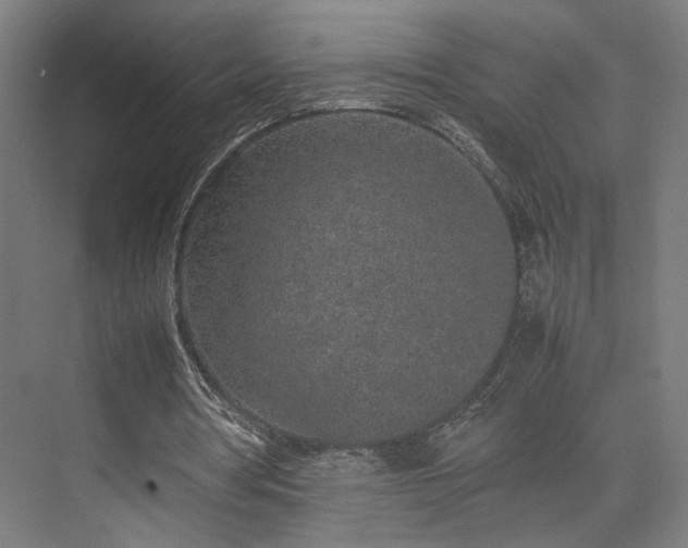 X0000074970386200609081417