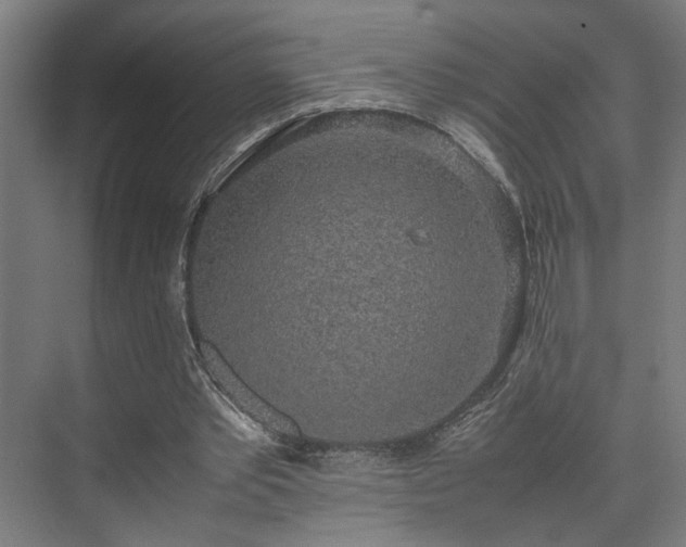 X0000074970389200609081417