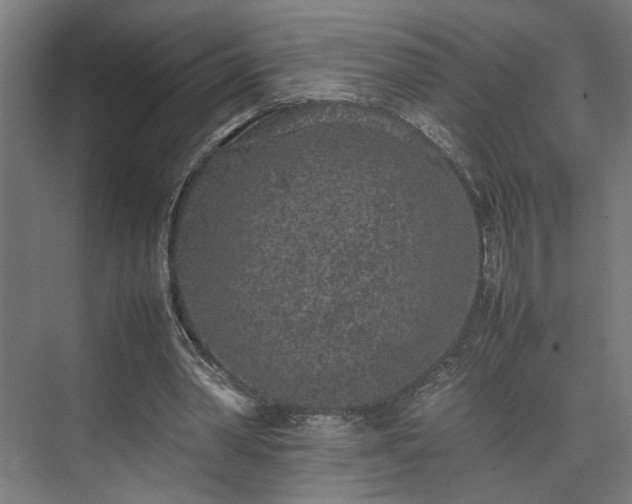 X0000074970390200609081417