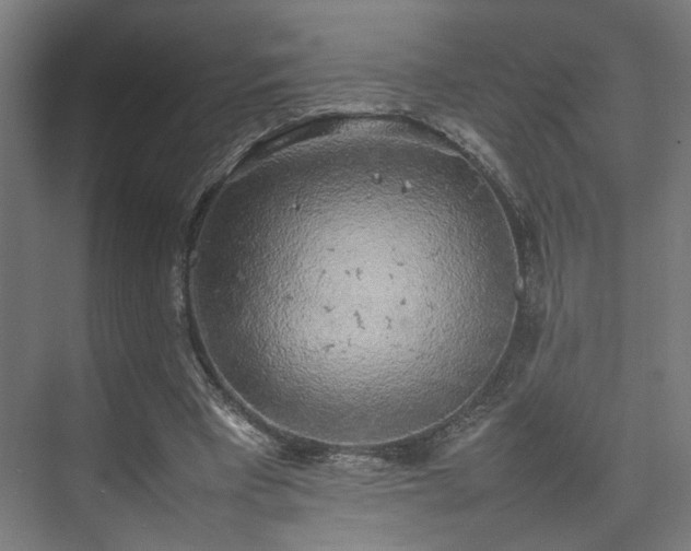 X0000074970393200609081417