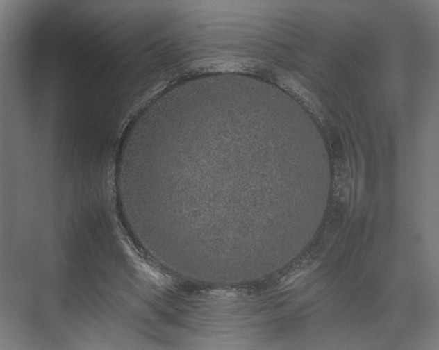 X0000074970394200609081417