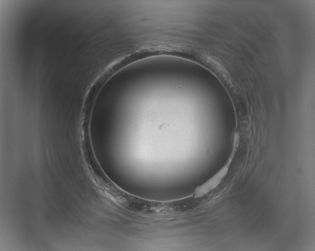 X0000074970395200609081417