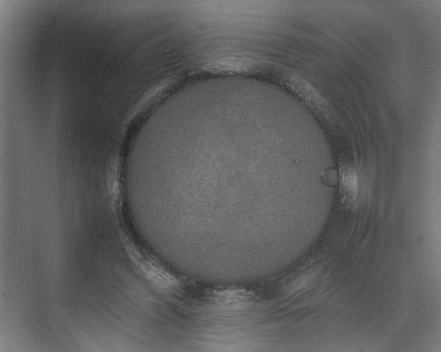 X0000074970396200609081417