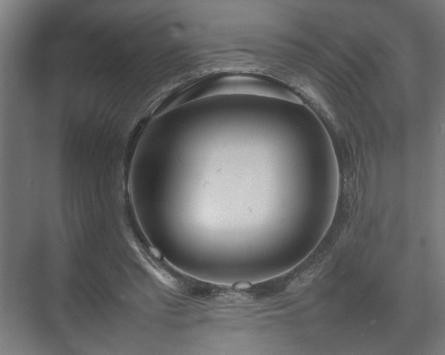 X0000074970397200609081417