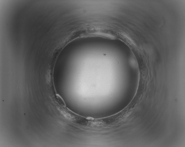 X0000074970401200609081417