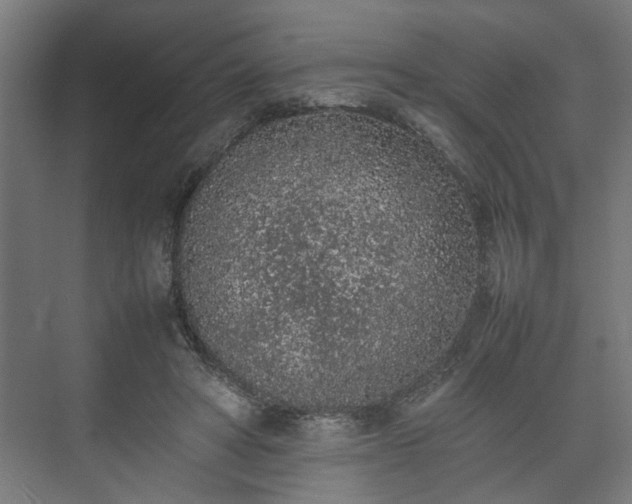 X0000074970402200609081417