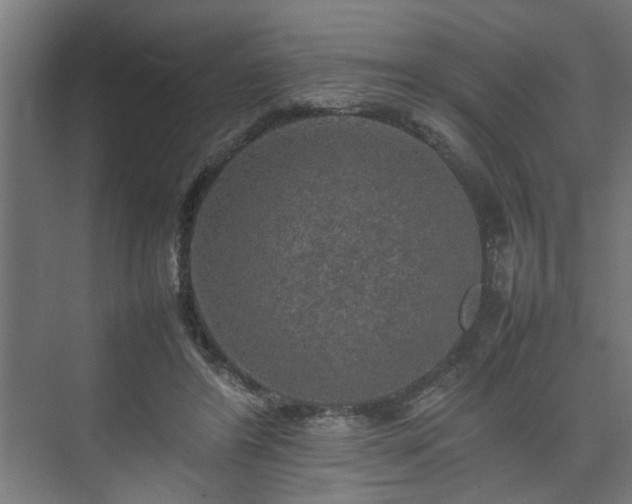 X0000074970404200609081417