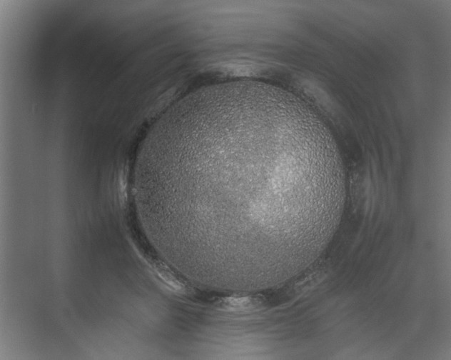 X0000074970406200609081416