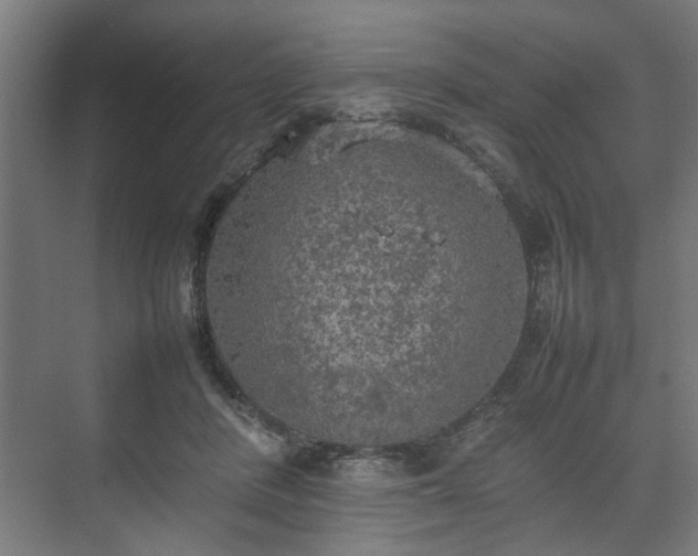 X0000074970408200609081416