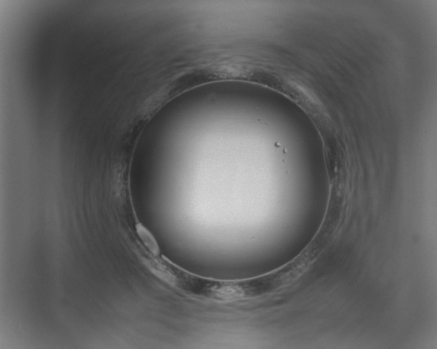 X0000074970409200609081416