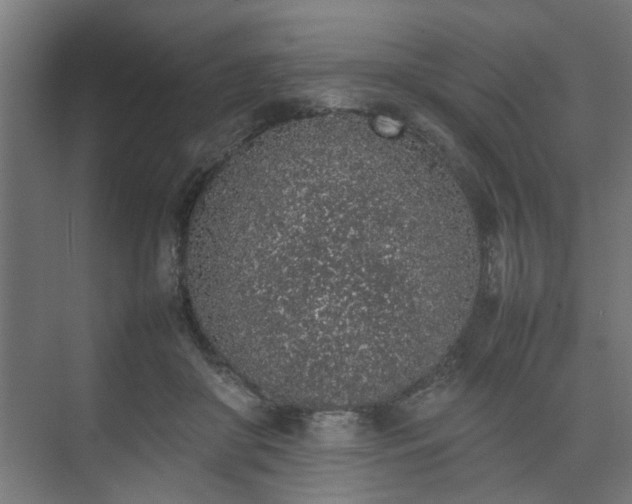 X0000074970410200609081416