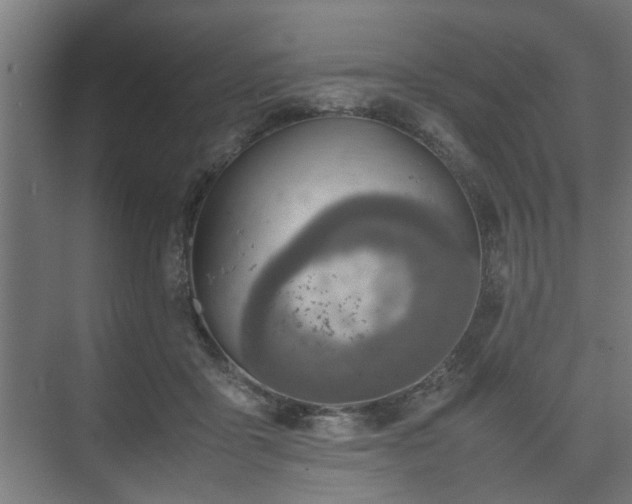 X0000074970411200609081416