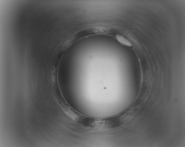 X0000074970413200609081416