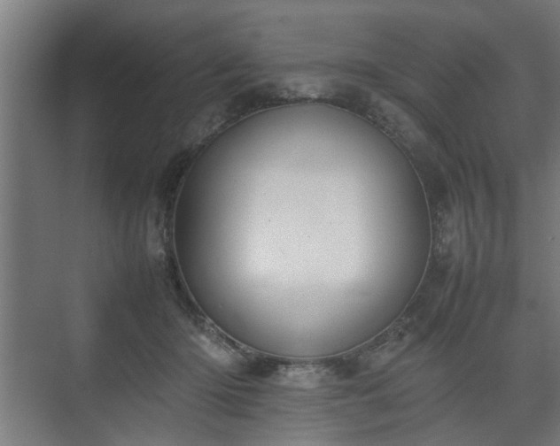 X0000074970414200609081416