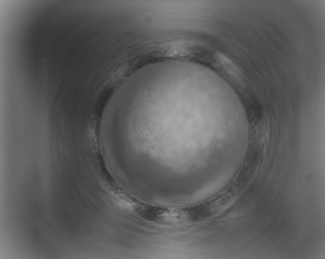 X0000074970415200609081416