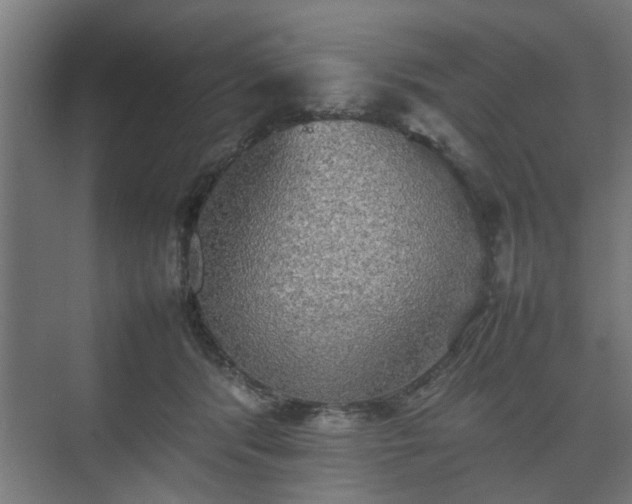 X0000074970416200609081416