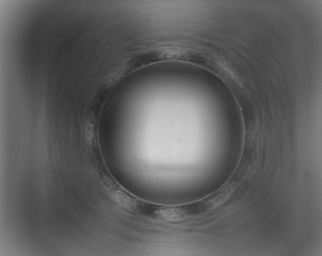 X0000074970417200609081416