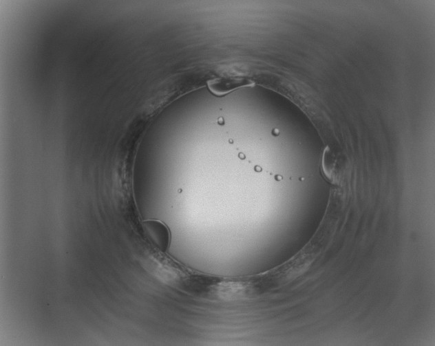 X0000074970418200609081416