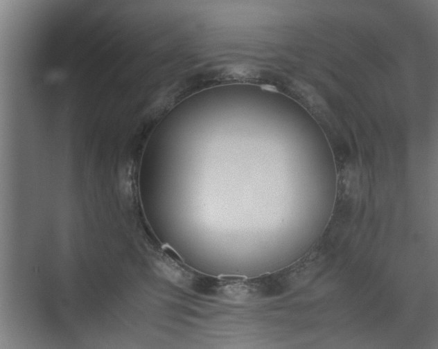 X0000074970423200609081416