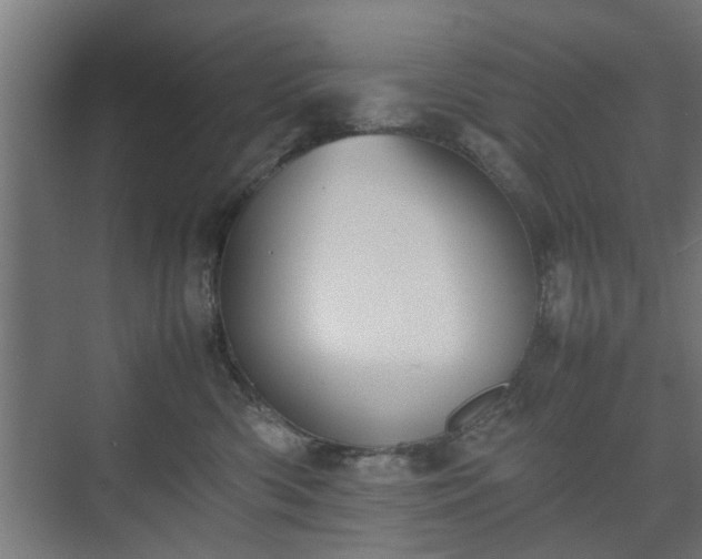 X0000074970426200609081416