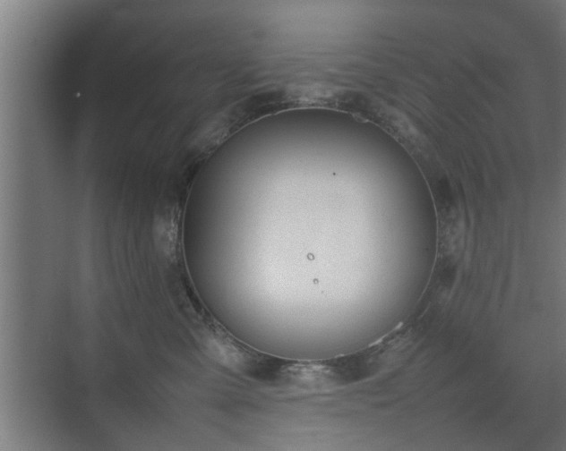 X0000074970427200609081416