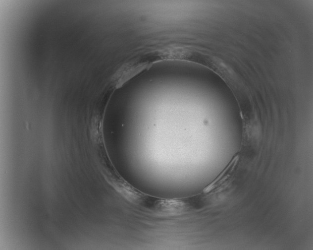 X0000074970429200609081416