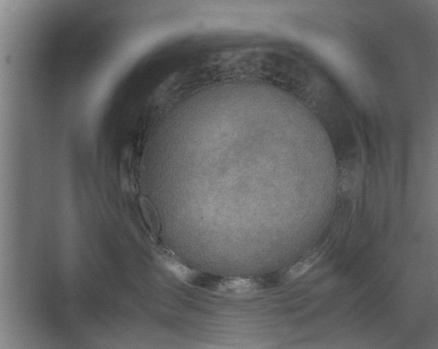 X0000074970431200609081416