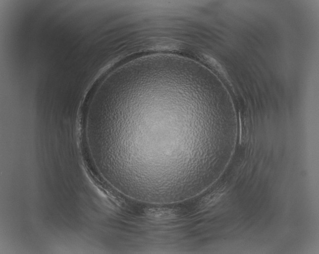 X0000074970435200609081415