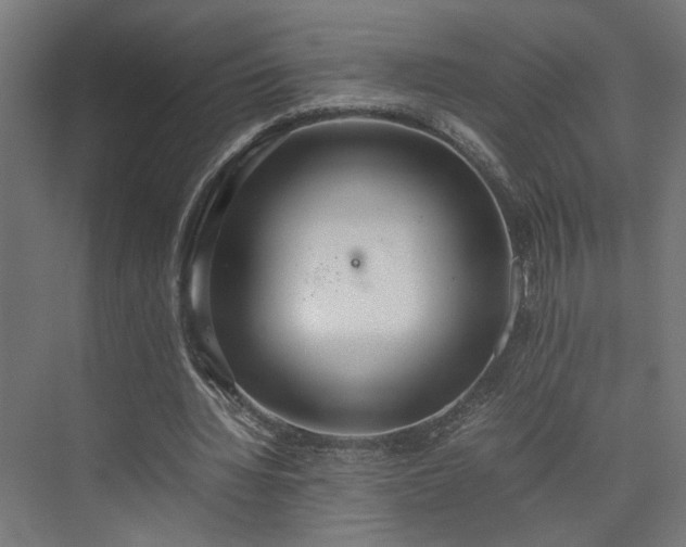 X0000074970436200609081415