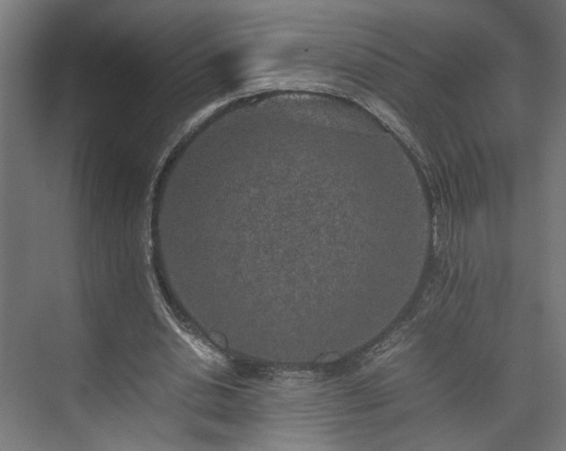 X0000074970438200609081415