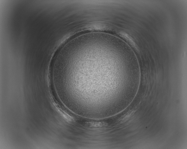 X0000074970439200609081415