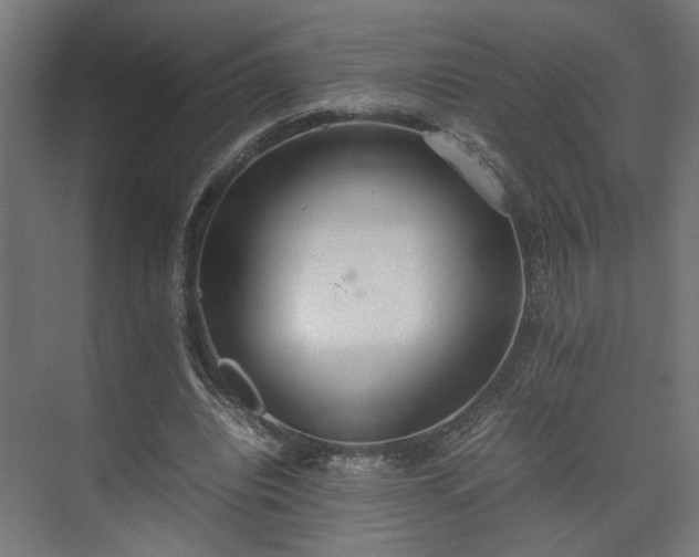 X0000074970440200609081415