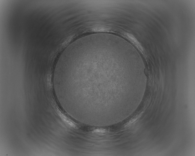 X0000074970441200609081415