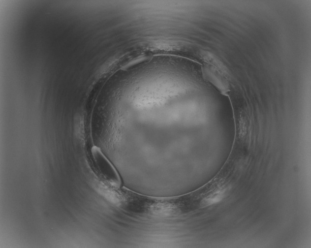 X0000074970444200609081415