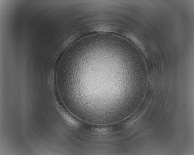 X0000074970445200609081415