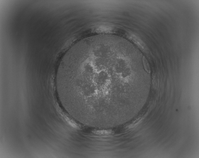 X0000074970449200609081416