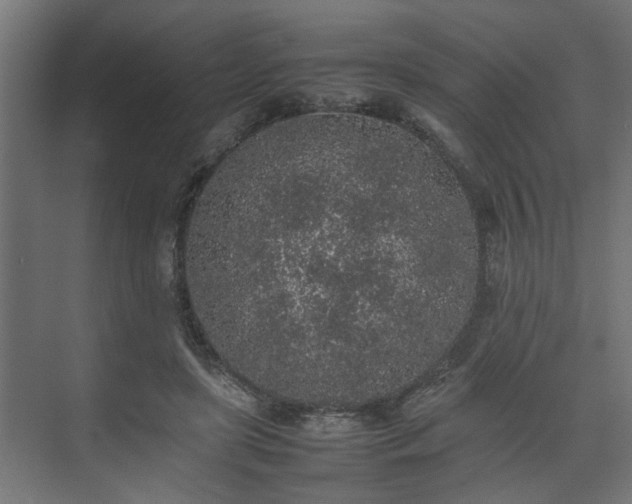 X0000074970451200609081416