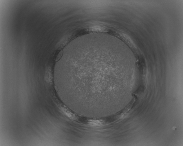 X0000074970457200609081416