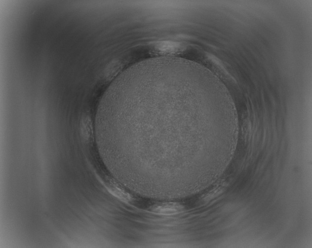 X0000074970459200609081416