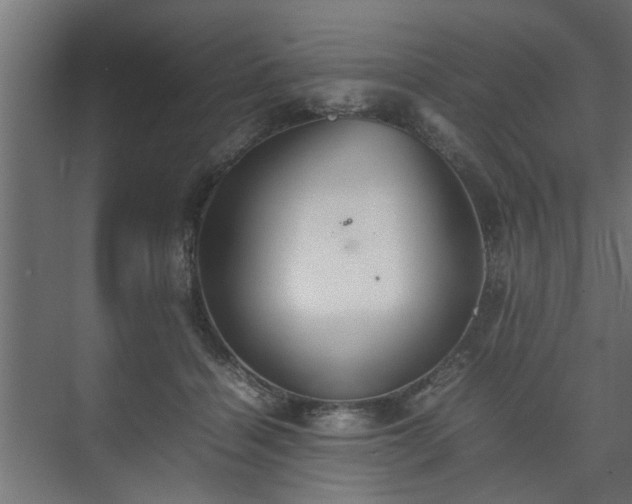 X0000074970460200609081416