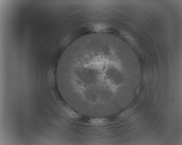 X0000074970461200609081416