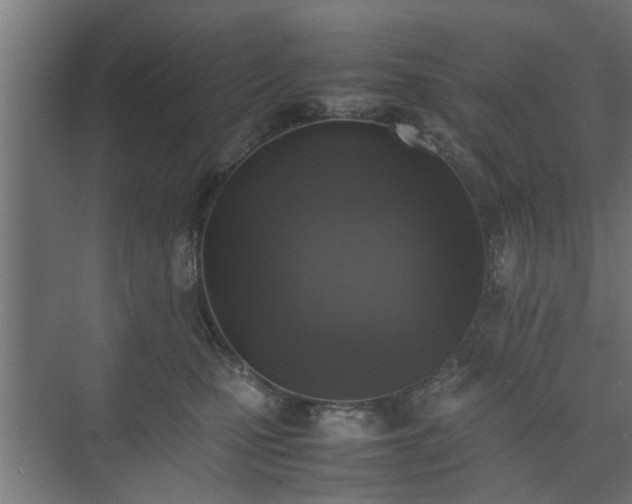 X0000074970471200609081416