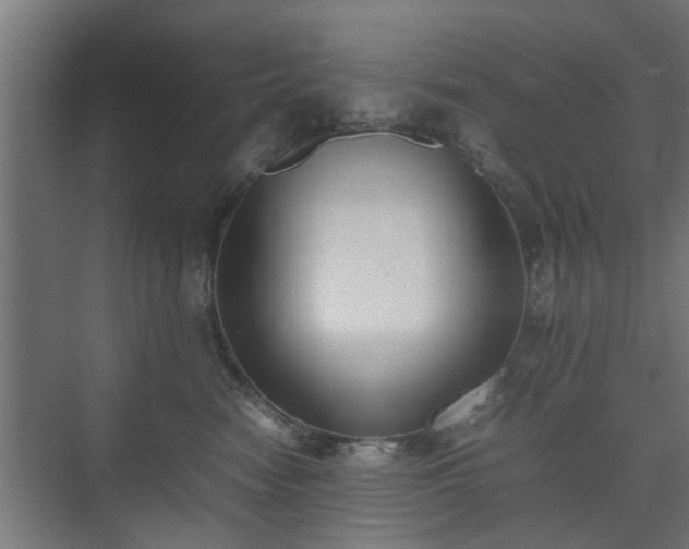 X0000074970474200609081416