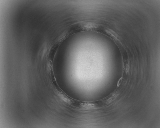 X0000074970476200609081416