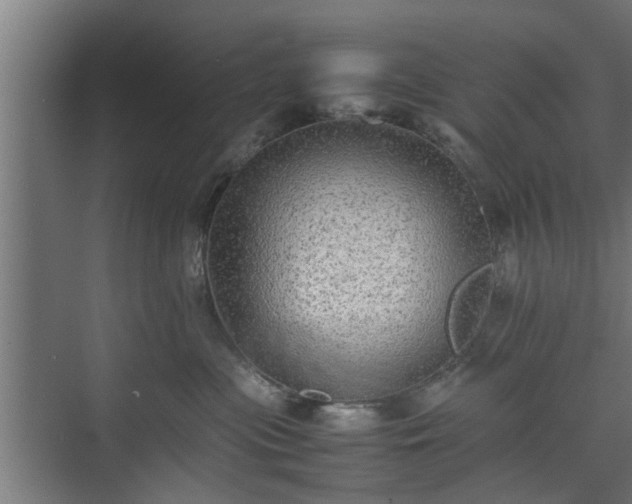 X0000074970477200609081416