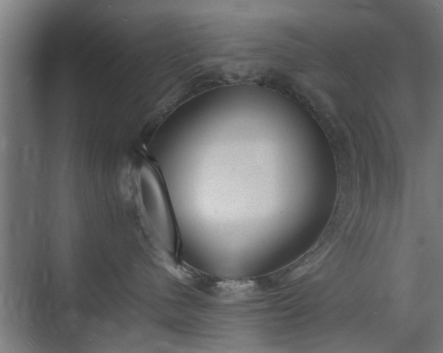 X0000074970480200609081416